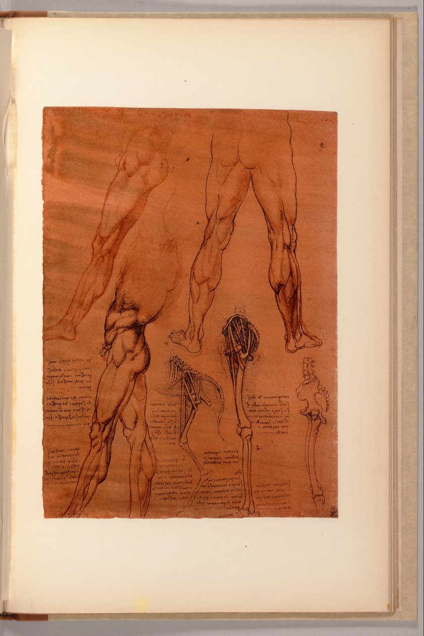 Uma página de "Cadernos de Anatomia", I-VI, 1911-16 de Leonardo da Vinci