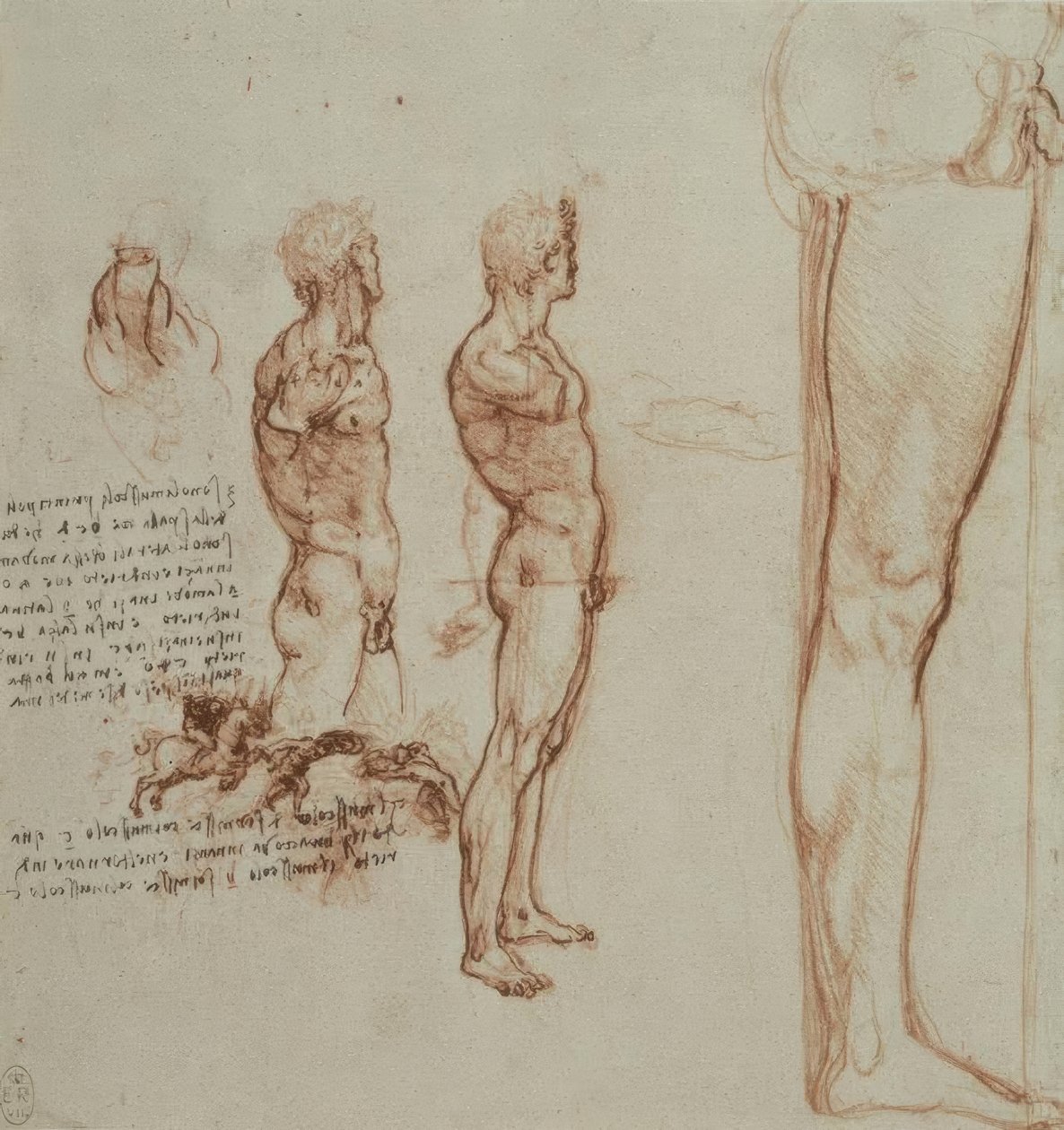 estudos de anatomia de Leonardo da Vinci