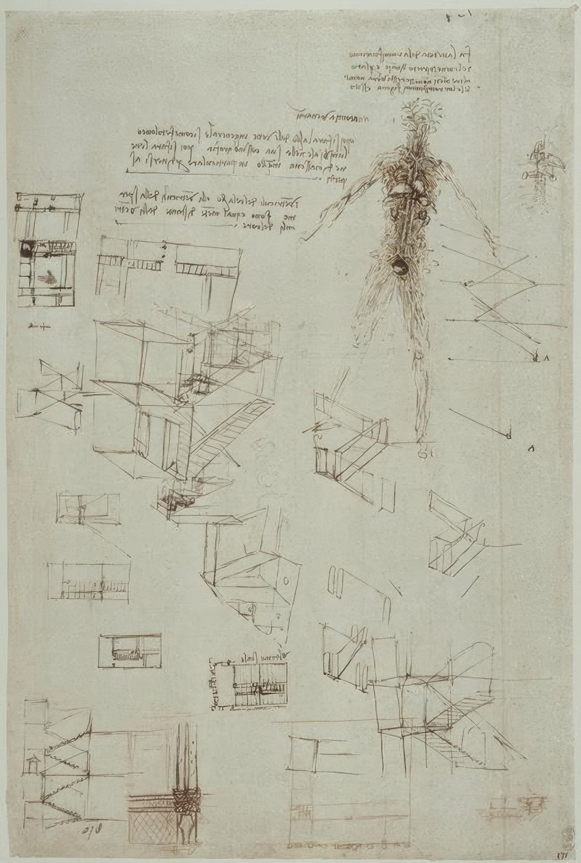 estudos de anatomia de Leonardo da Vinci
