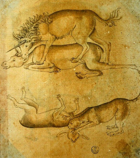 Animais (caneta, tinta e lavagem sobre papel) de Leonardo da Vinci