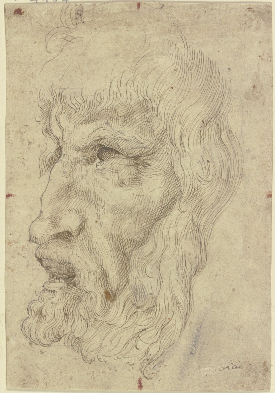 Máscaras antigas à esquerda de Leonardo da Vinci