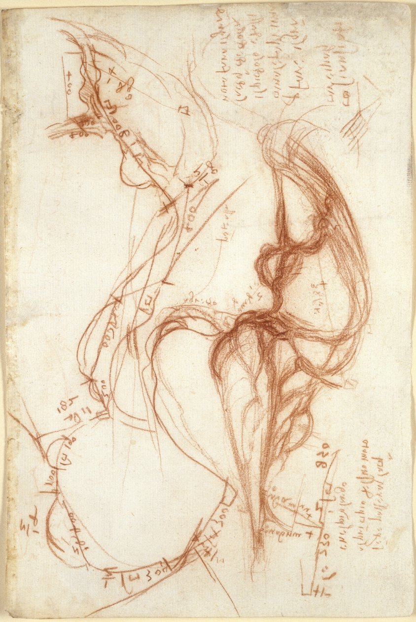 Arundel 263, f.149, Esboços planimétricos do rio Arno; notas sobre a gestão da água de Leonardo da Vinci