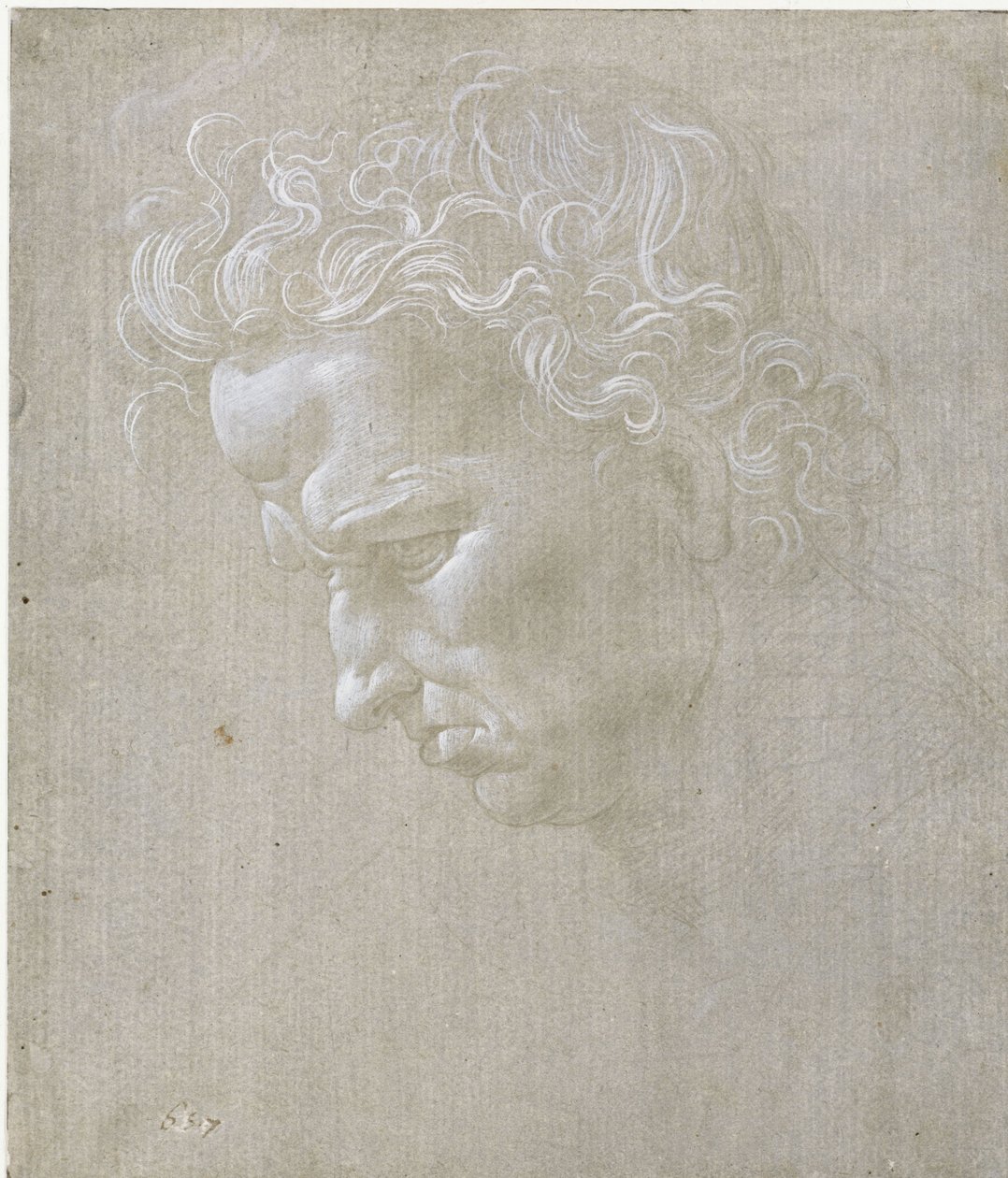 Rosto de um homem de perfil de Leonardo da Vinci