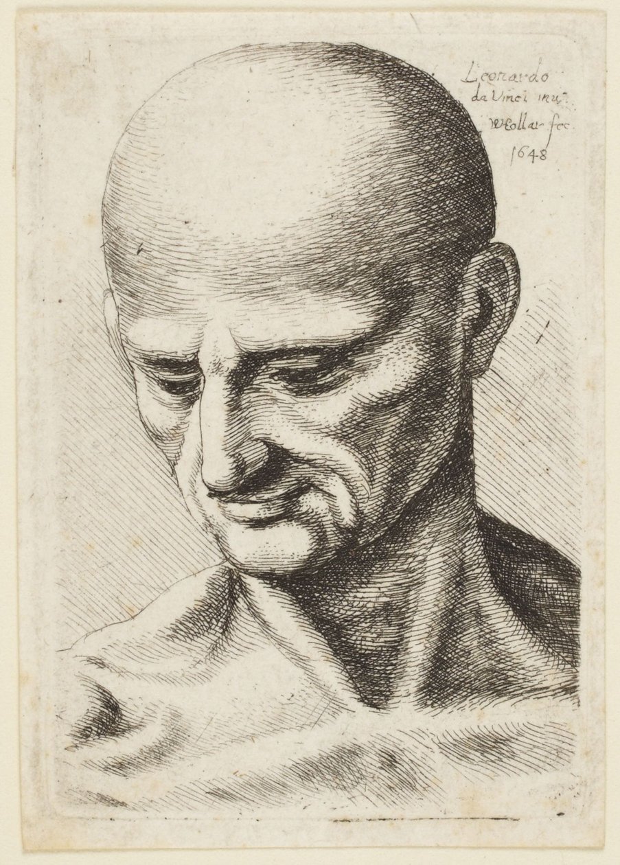 Homem careca de Leonardo da Vinci