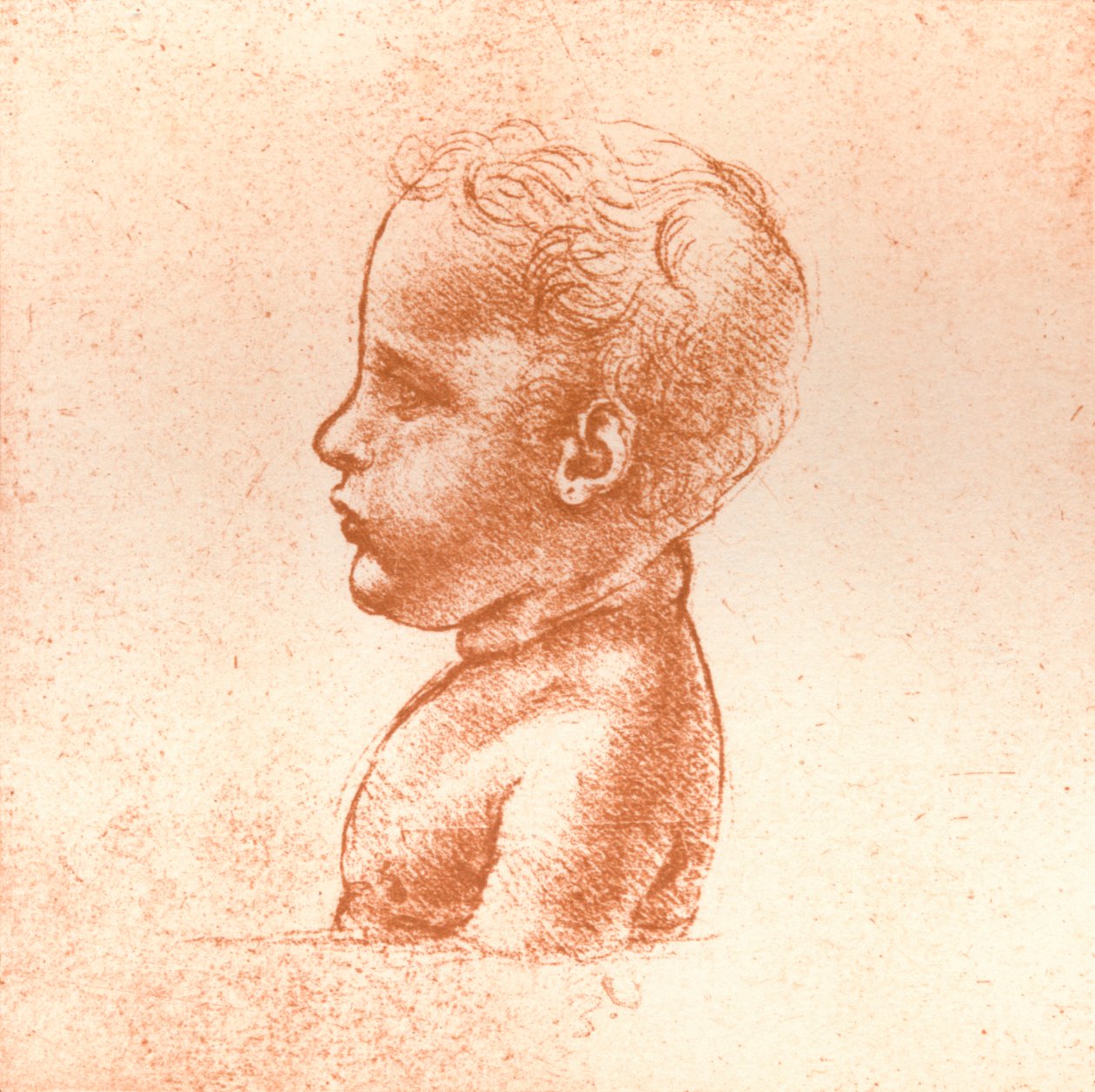 Busto de menino, c1472-c1519 1883 de Leonardo da Vinci