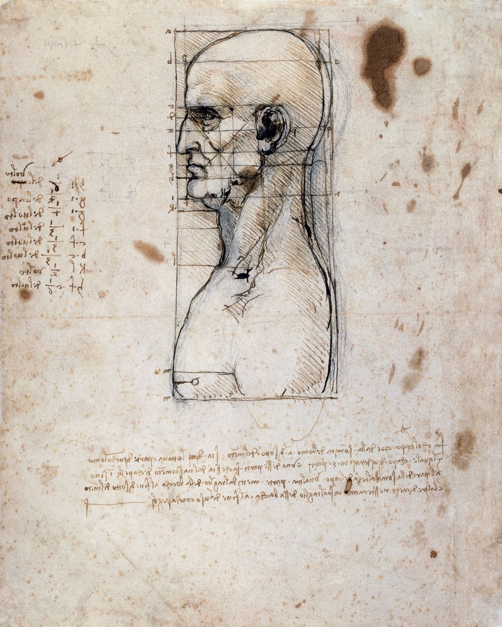 Busto de um homem de perfil com medidas e notas (tinta sépia sobre papel de linho) de Leonardo da Vinci