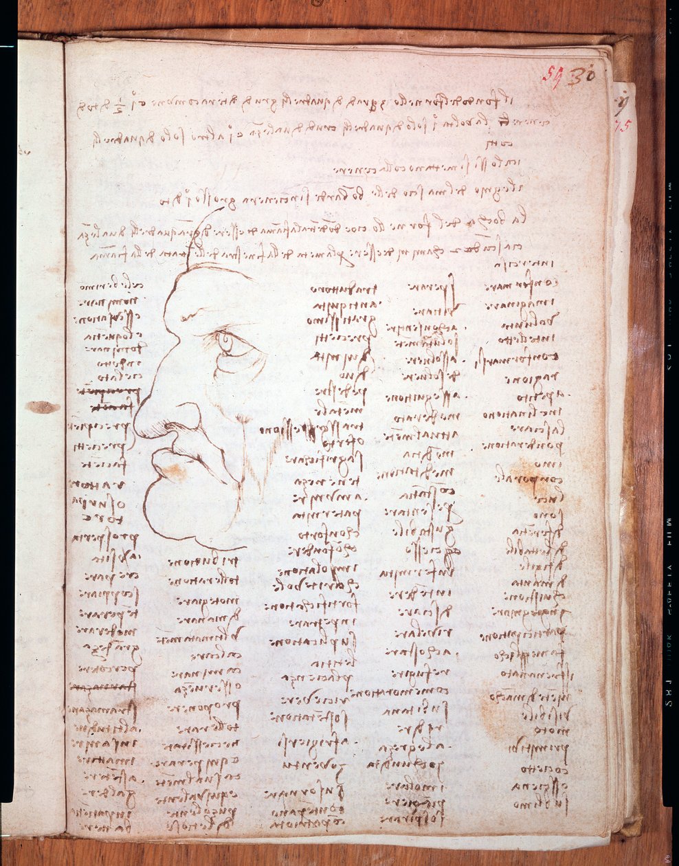 Codex Trivulziano de Leonardo da Vinci (1452 - 1519) - Biblioteca Trivulziana, Milão de Leonardo da Vinci