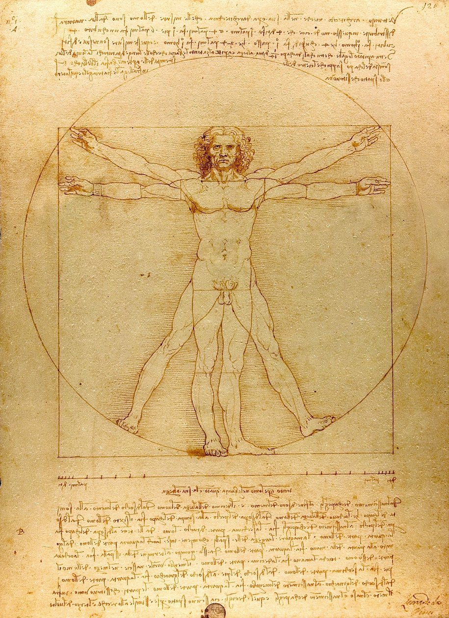 Da Vinci Vitruve Luc Viatour (recortado) de Leonardo da Vinci