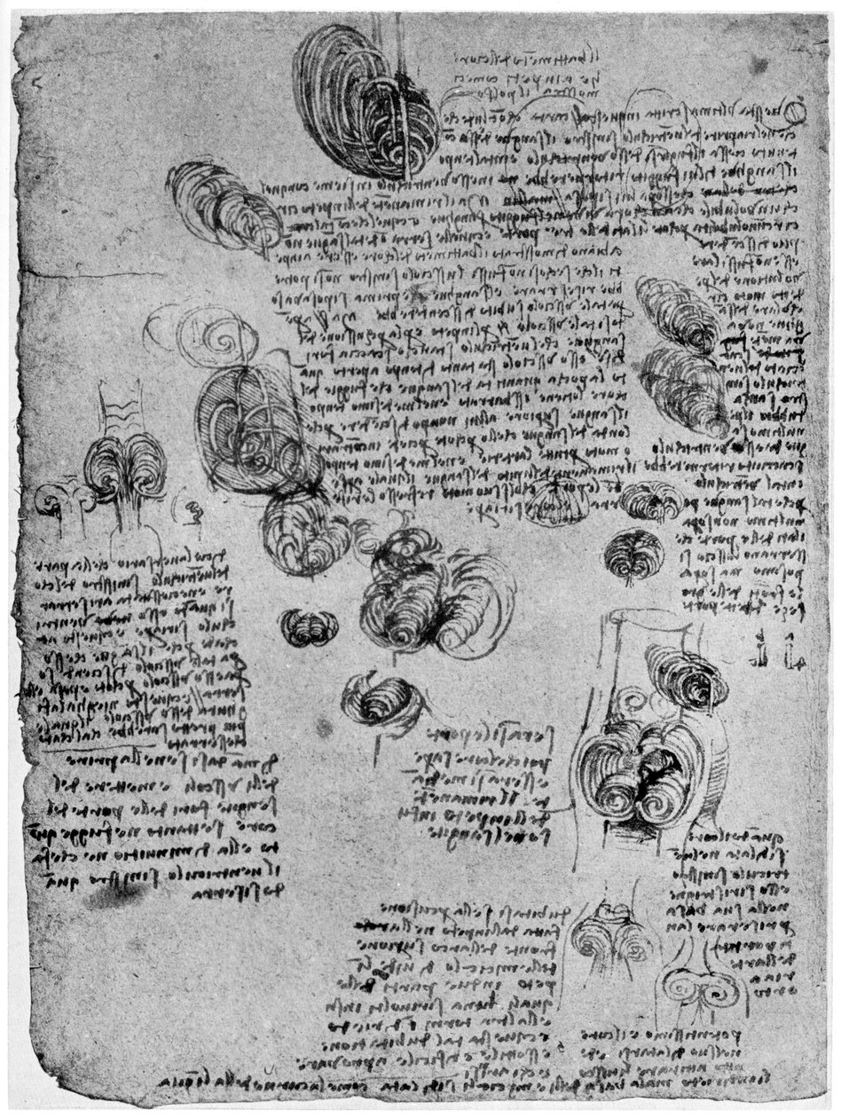 Diagrama do vórtice sanguíneo no coração, final do século XV ou início do século XVI, 1954 de Leonardo da Vinci