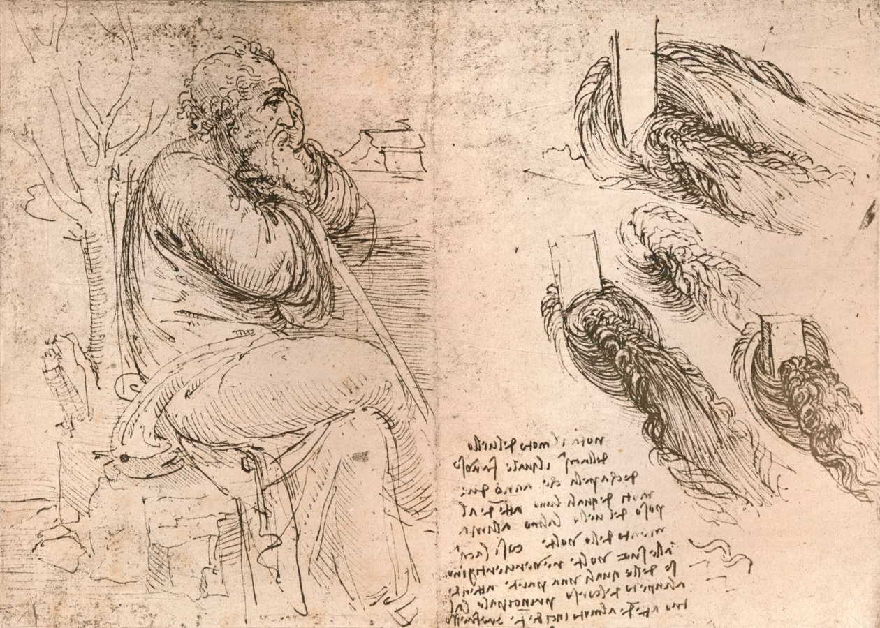 Desenho ilustrando a representação do cabelo caindo em cachos, c1472-c1519 1883 de Leonardo da Vinci