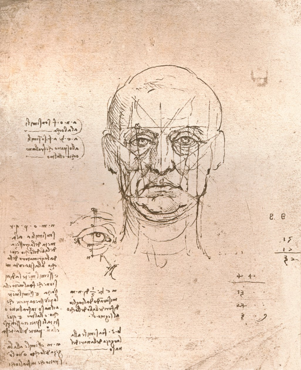 Desenho ilustrando a teoria das proporções na figura humana, c1472-c1519 1883 de Leonardo da Vinci