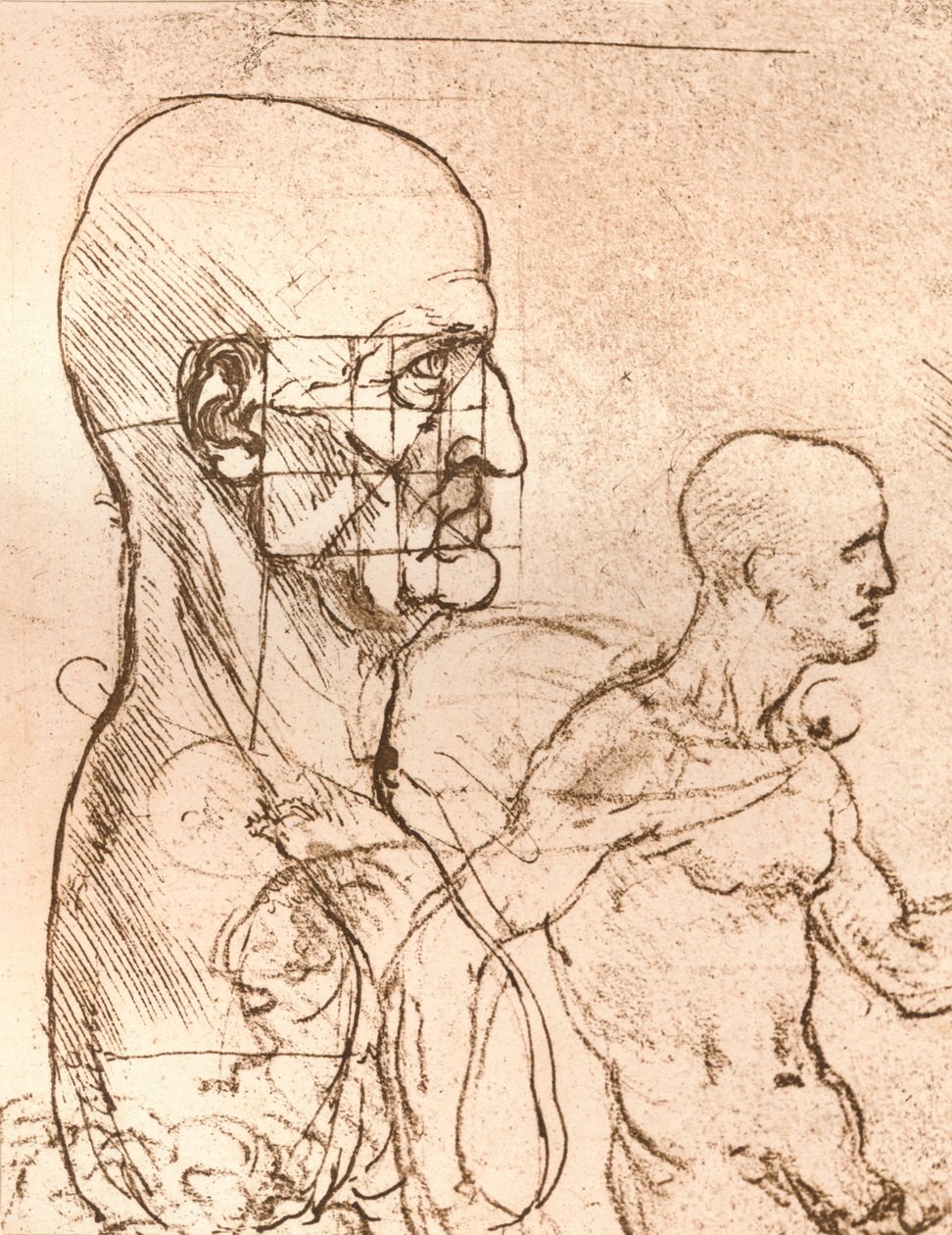 Desenho ilustrando a teoria das proporções da figura humana, c1472-c1519 1883 de Leonardo da Vinci