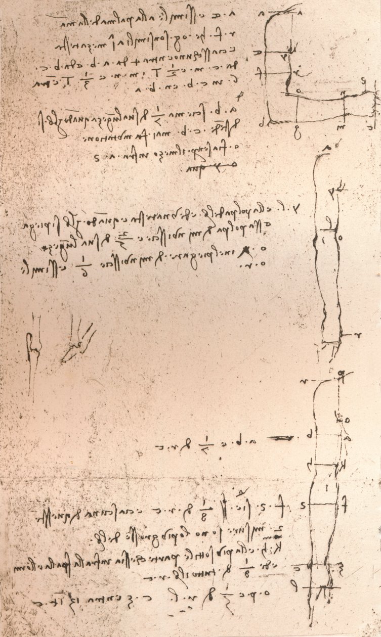 Desenho ilustrando a teoria das proporções da figura humana, c1472-c1519 1883 de Leonardo da Vinci