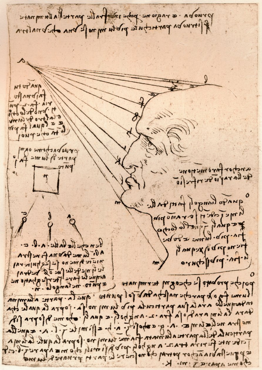 Desenho de uma cabeça masculina, ilustrando a prática da pintura, c1472-c1519 1883 de Leonardo da Vinci