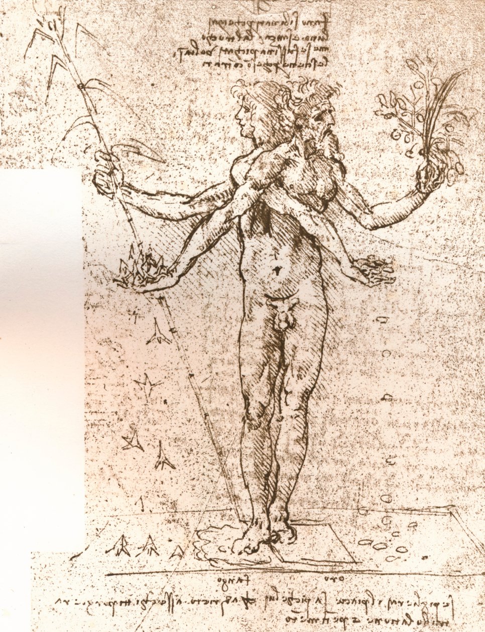 Desenho de uma composição alegórica, c1472-c1519 1883 de Leonardo da Vinci