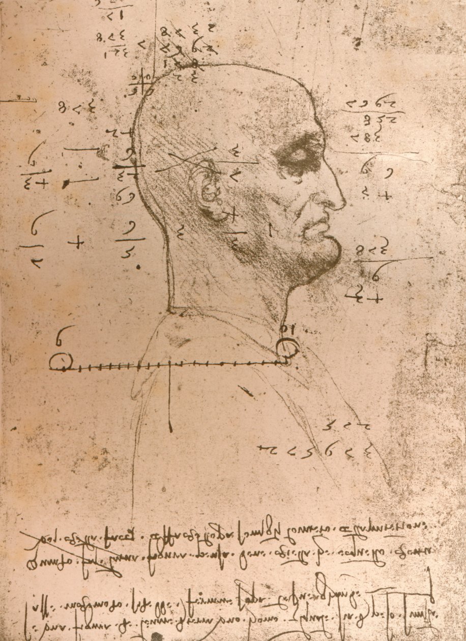 Desenho da cabeça de um criminoso, c1472-c1519 1883 de Leonardo da Vinci