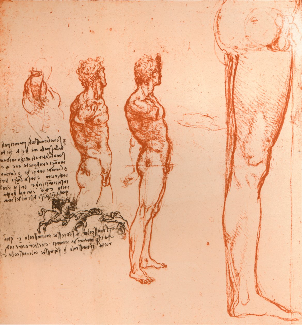 Desenhos que mostram os movimentos da figura humana e dos guerreiros lutando, c1472-c1519 1883 de Leonardo da Vinci