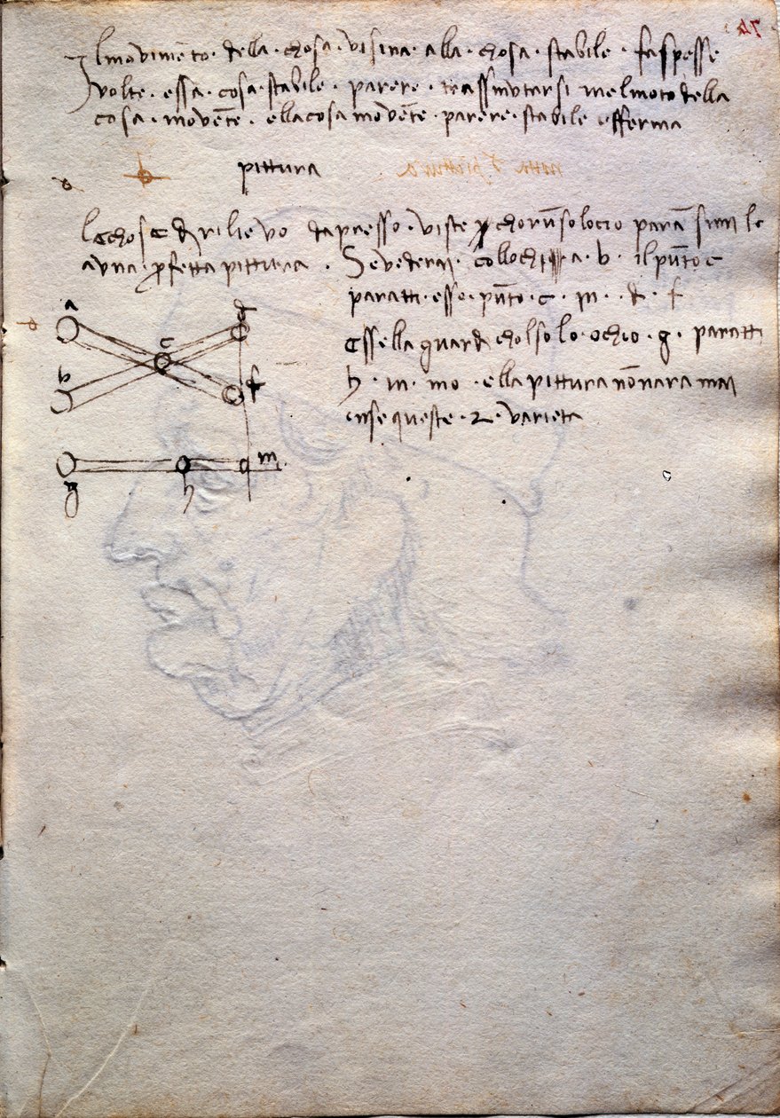 Extracto do livro de pinturas, do Codex Trivulzianus de Leonardo da Vinci