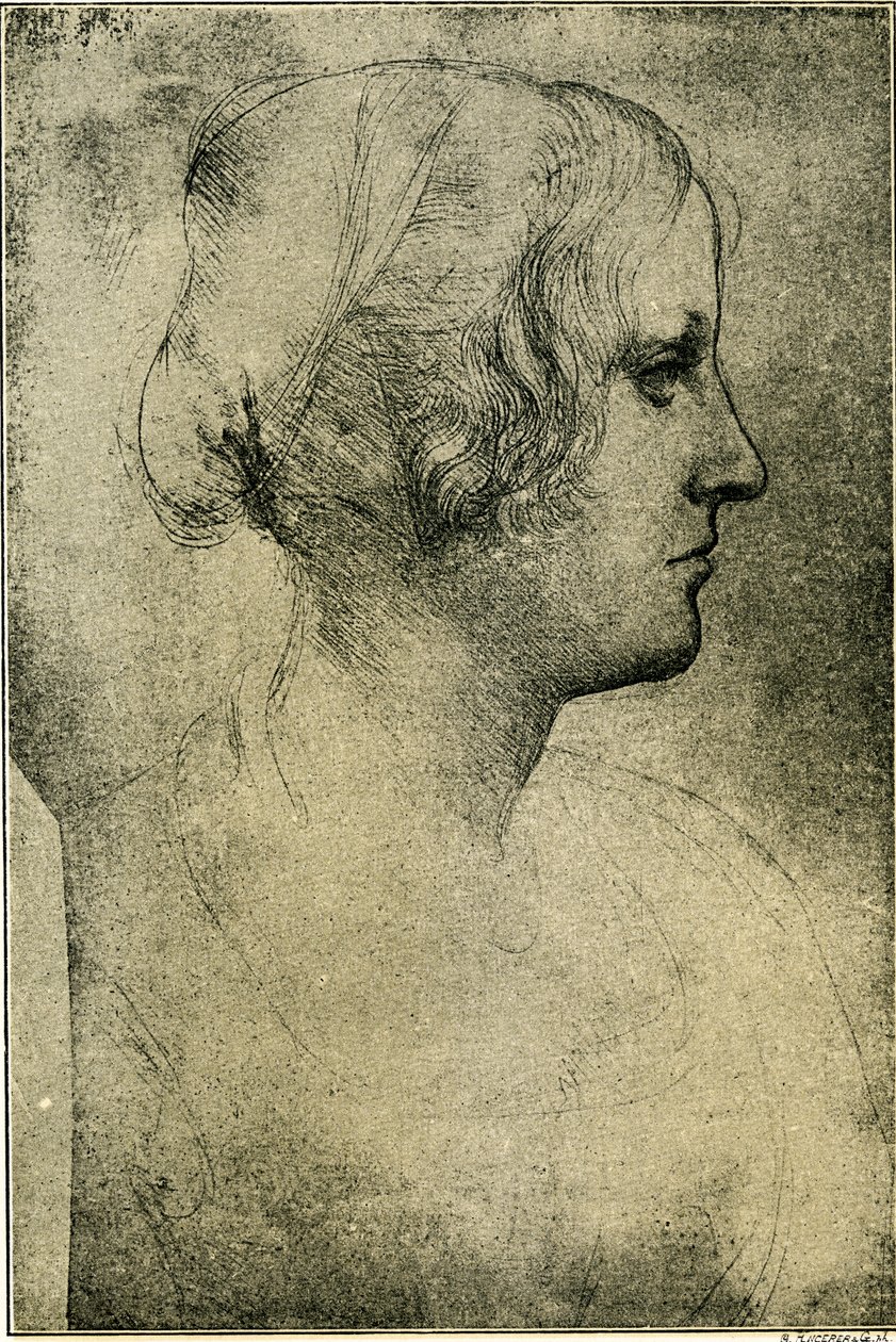 Cabeça de perfil feminino de Leonardo da Vinci