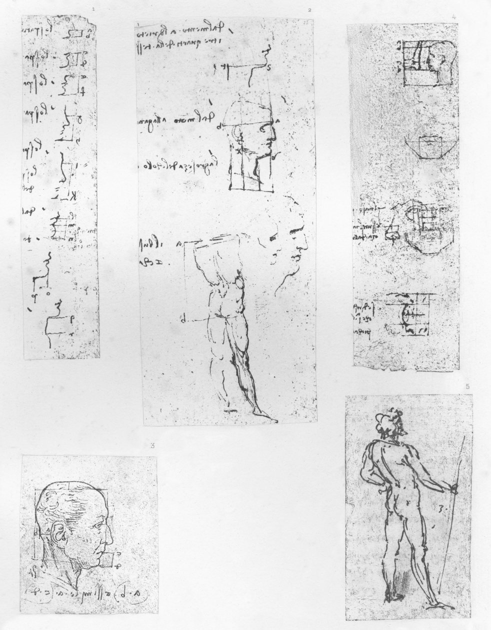 Cinco desenhos ilustrando a teoria das proporções da figura humana, c1472-c1519 1883 de Leonardo da Vinci