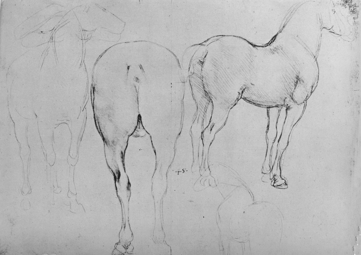 Quatro esboços de cavalos, c1480 1945 de Leonardo da Vinci