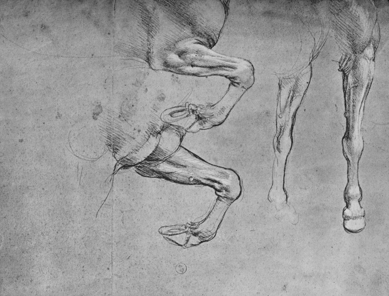 Quatro estudos sobre pernas de cavalos, c1480 1945 de Leonardo da Vinci