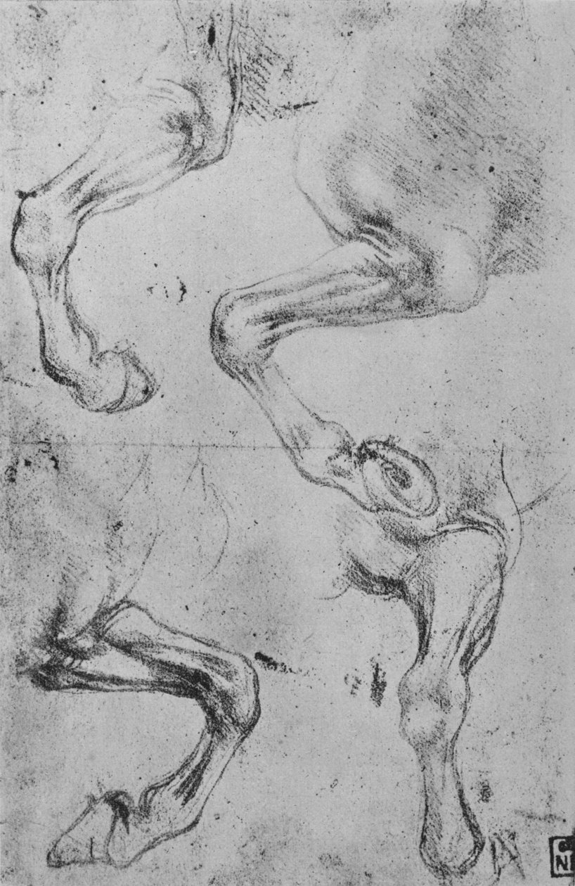 Quatro estudos sobre pernas de cavalos, c1480 1945 de Leonardo da Vinci