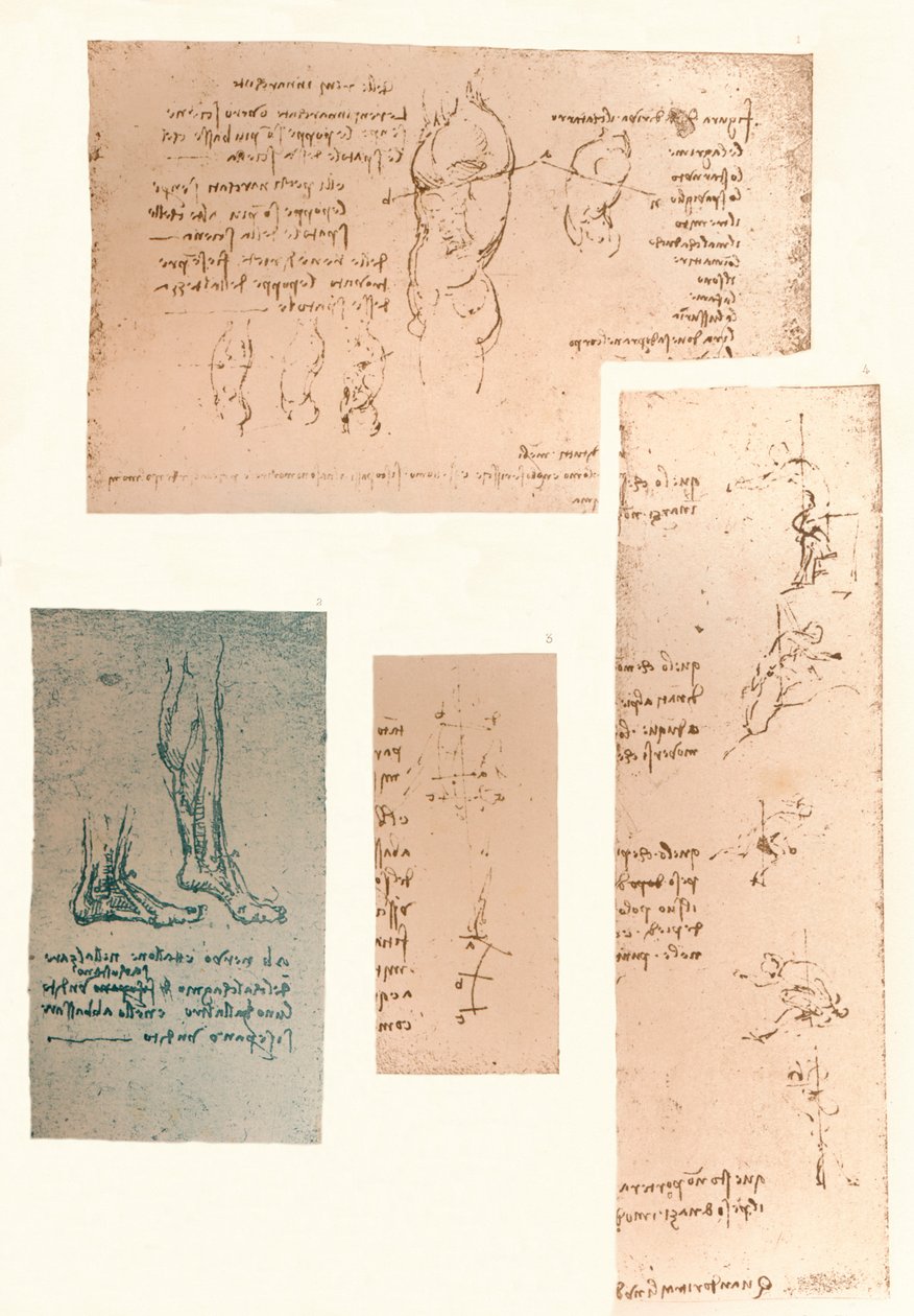 Quatro desenhos ilustrando a teoria dos movimentos da figura humana, c1472-c1519 1883 de Leonardo da Vinci