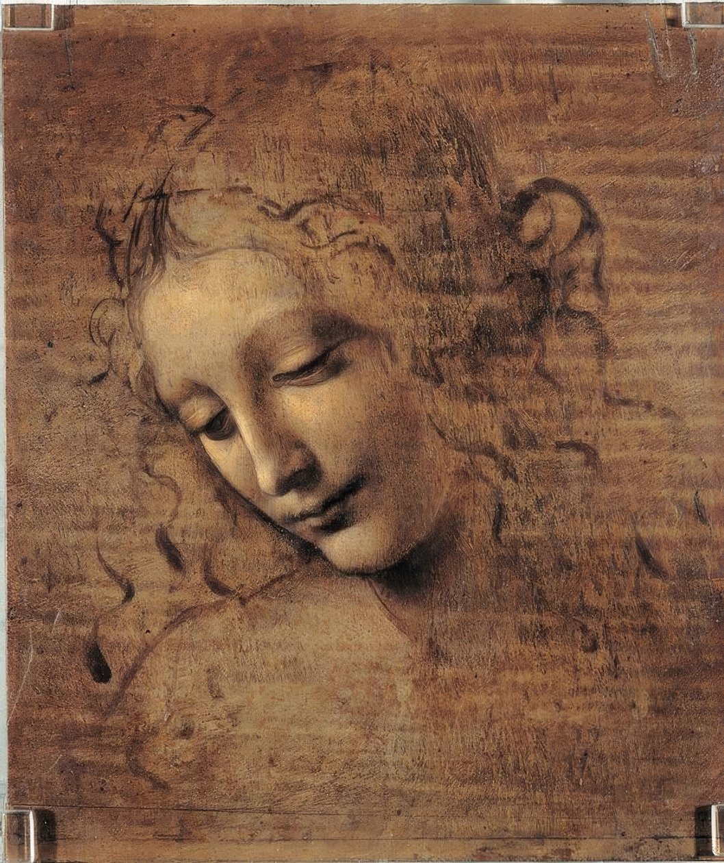a cabeça da mulher de Leonardo da Vinci