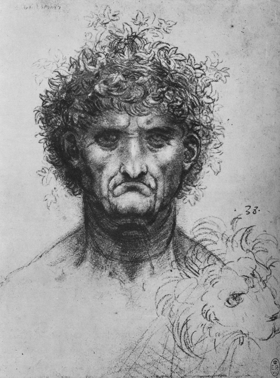 Cara cheia de um velho vestindo uma coroa de flores, c1480 1945 de Leonardo da Vinci