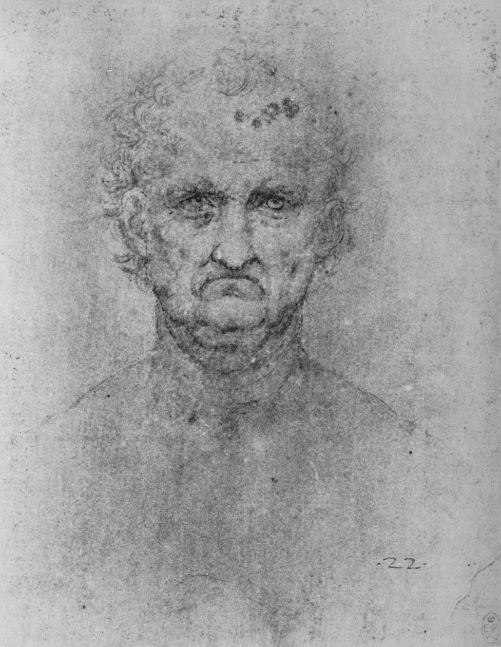 Cara cheia de um homem velho, c1480 1945 de Leonardo da Vinci