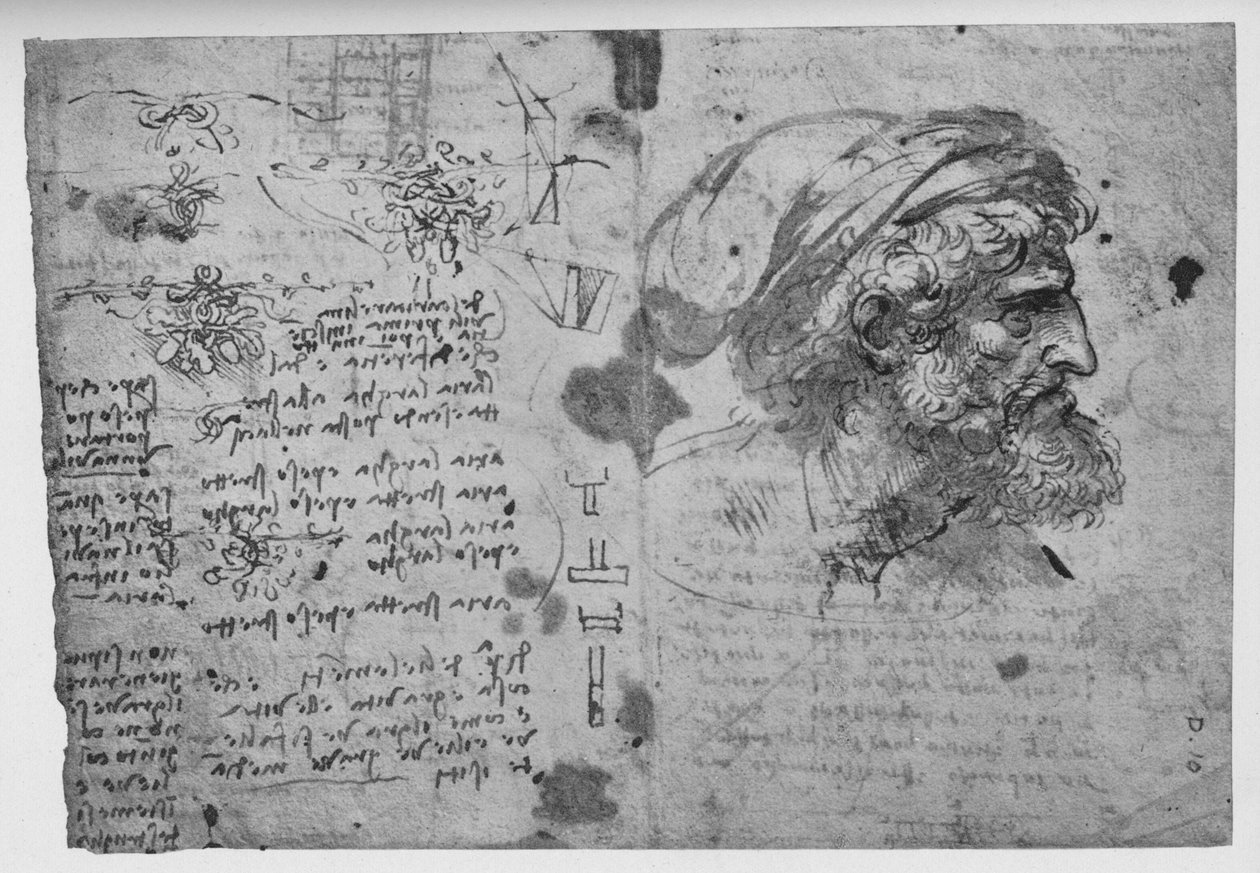 Cabeça e ombros de um homem barbudo, c1480 1945 de Leonardo da Vinci