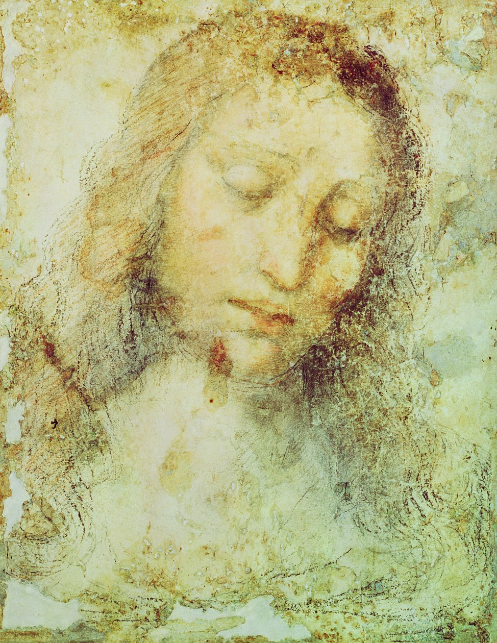 Cabeça de Cristo (lápis e lavagem) de Leonardo da Vinci