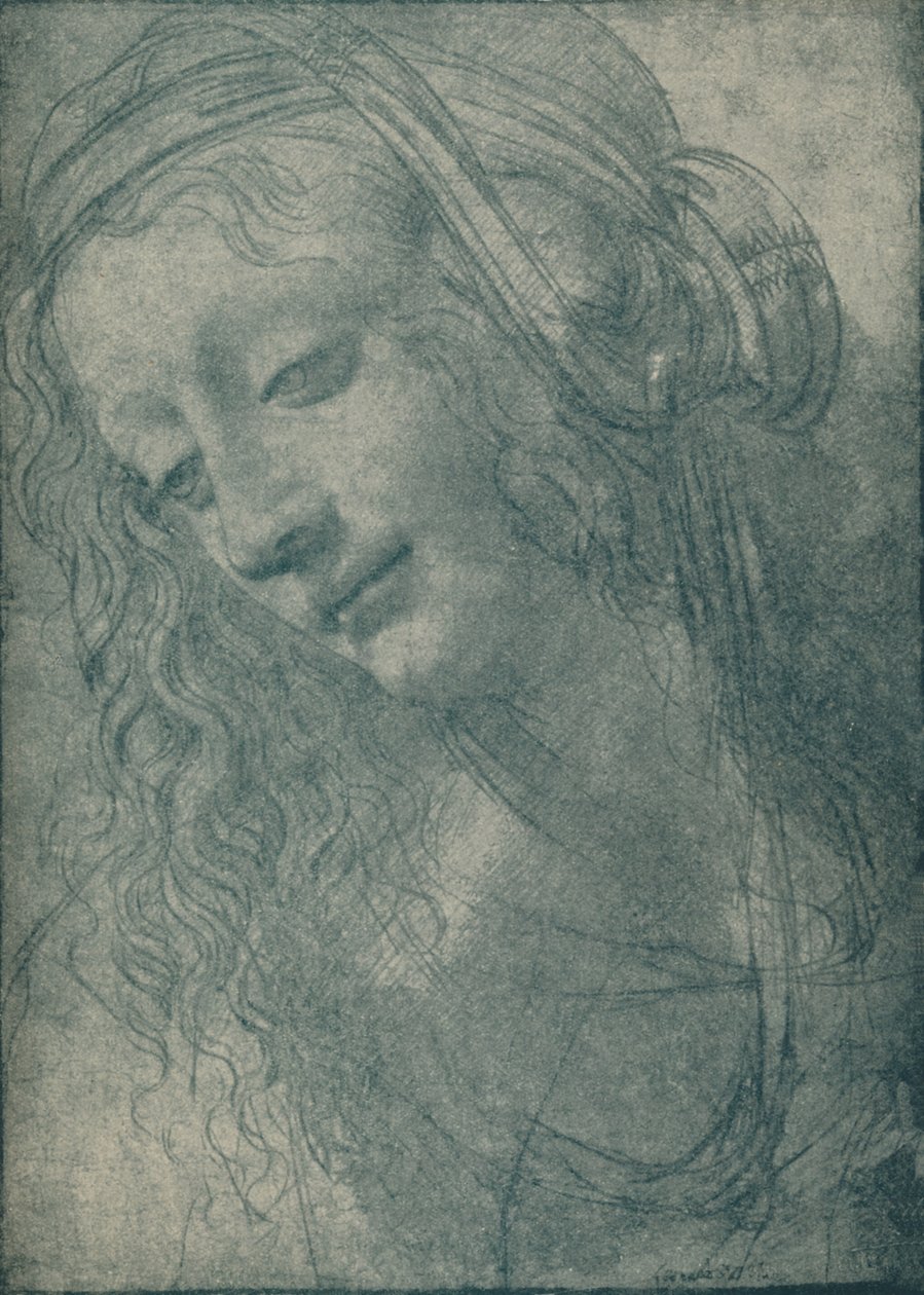 Cabeça de uma Virgem, século XV, 1932 de Leonardo da Vinci