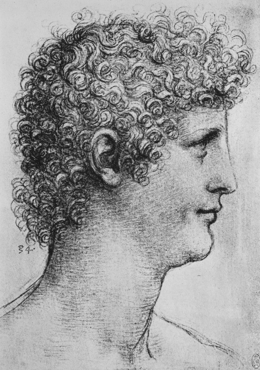 Chefe de uma Juventude em Perfil à Direita, c1480 1945 de Leonardo da Vinci