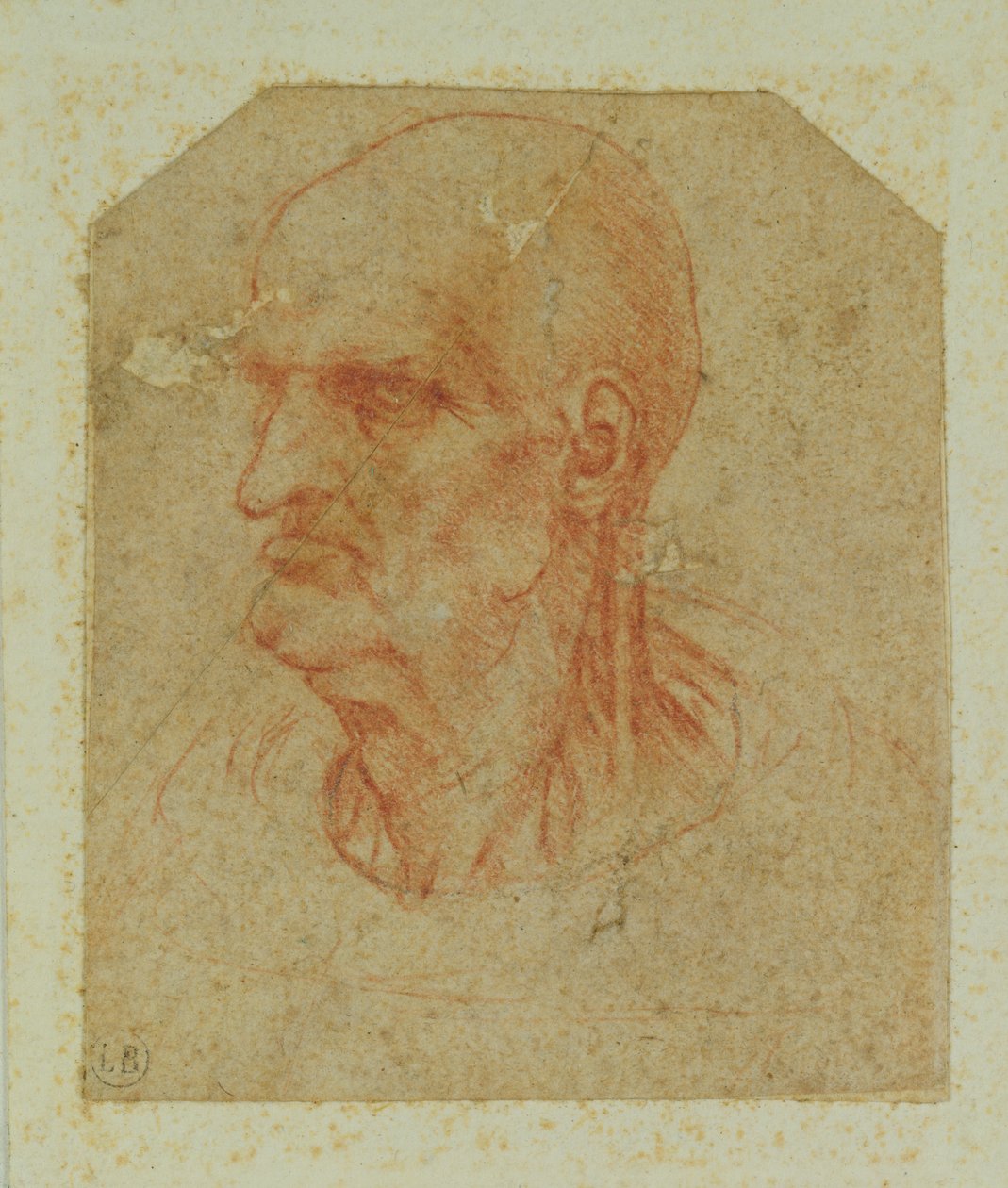 Cabeça de um velho sem barba, perfil esquerdo (giz vermelho sobre papel) de Leonardo da Vinci