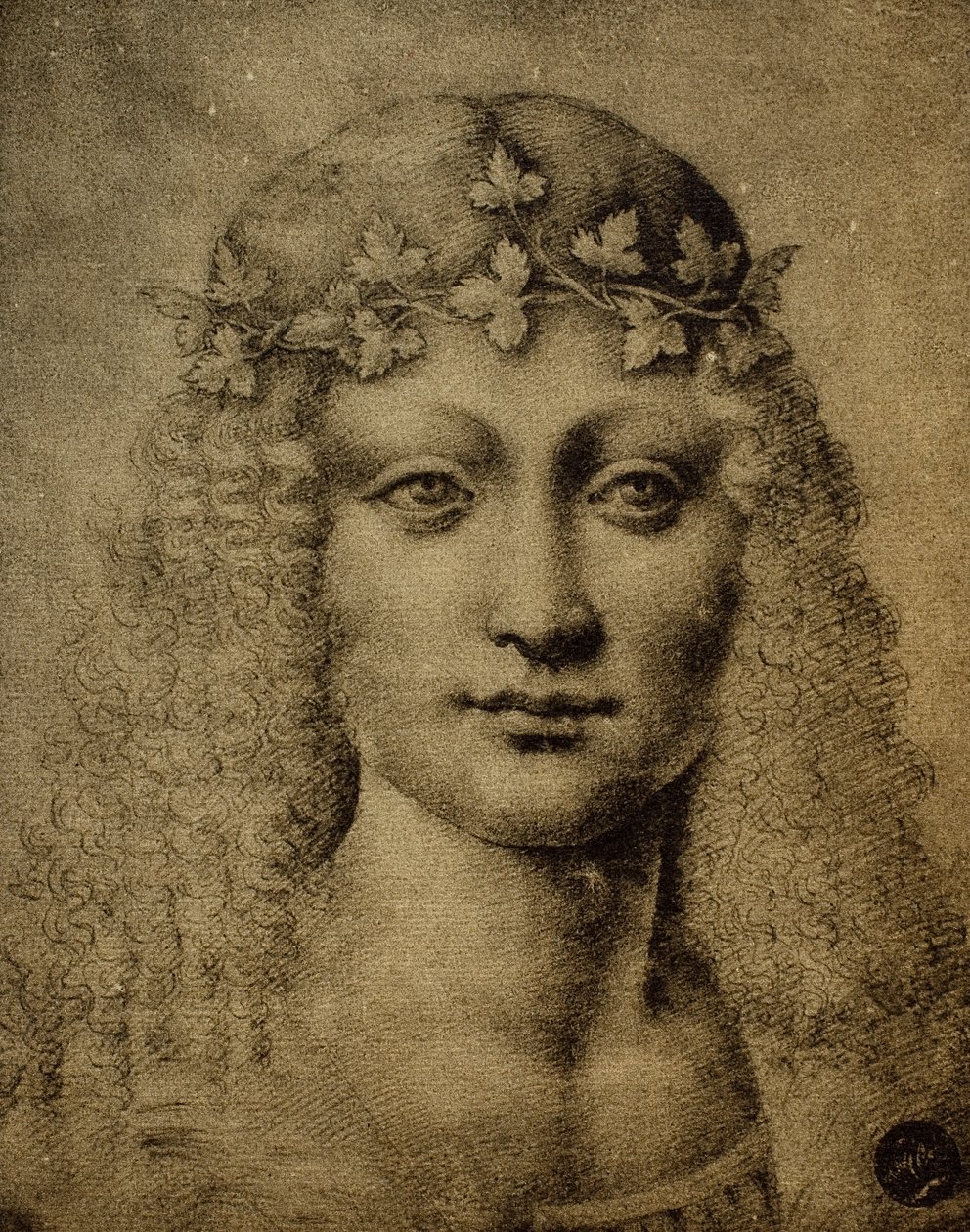 Cabeça de menina ou de um jovem Bachus; desenho de Leonardo da Vinci. Gallerie dellAccademia, Veneza de Leonardo da Vinci