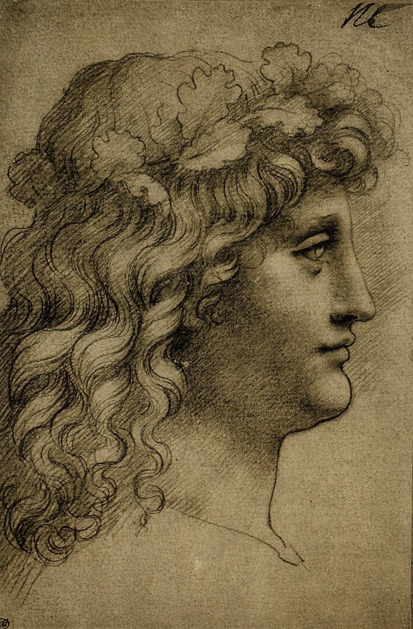 Cabeça de um jovem; desenho de Leonardo da Vinci. O louvre, paris de Leonardo da Vinci