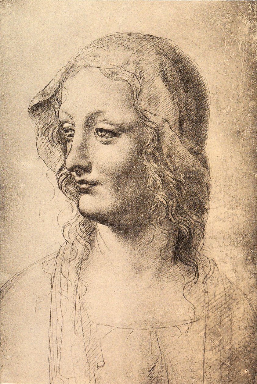 Chefe de uma jovem mulher, desenho de Leonardo da Vinci, Gabinetto dei Disegni e Stampe, Uffizi, Florença de Leonardo da Vinci