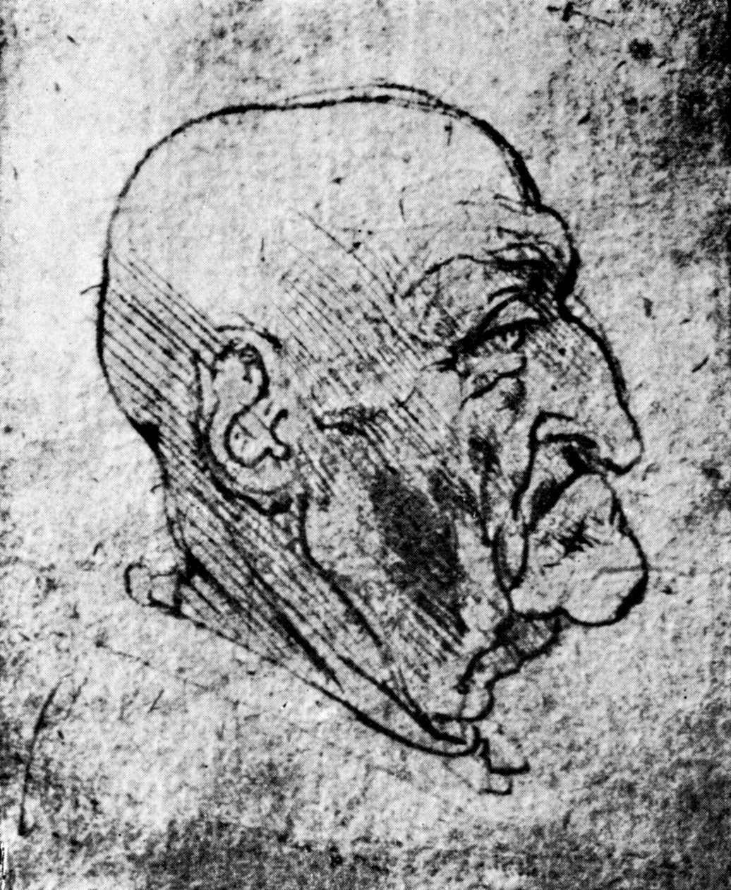 Cabeça de um homem velho, 1913 de Leonardo da Vinci