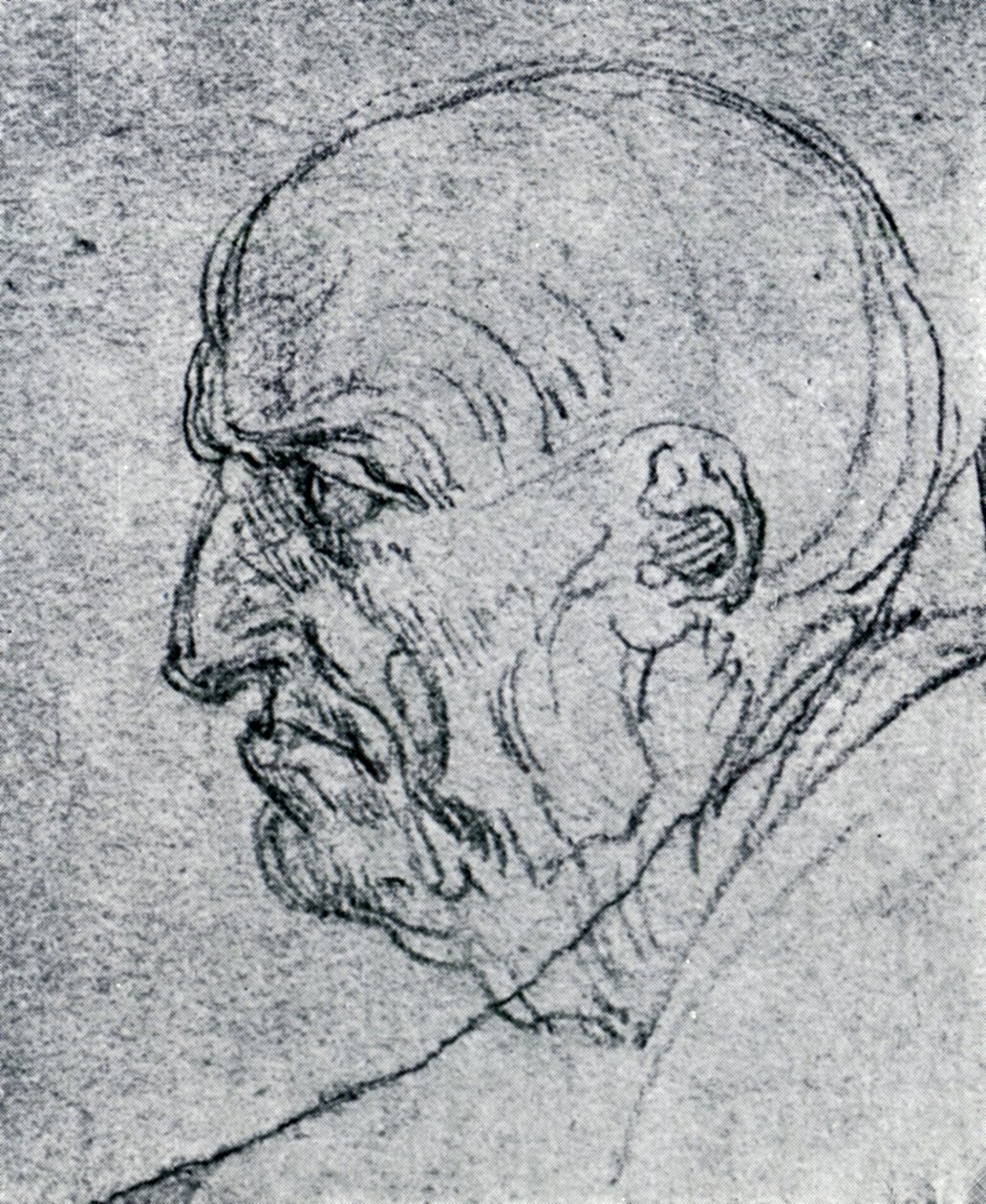 Cabeça de um homem velho, 1913 de Leonardo da Vinci