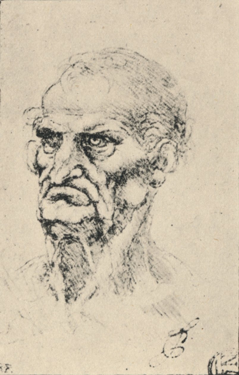 Cabeça de um homem velho três quartos à esquerda, c1480 1945 de Leonardo da Vinci