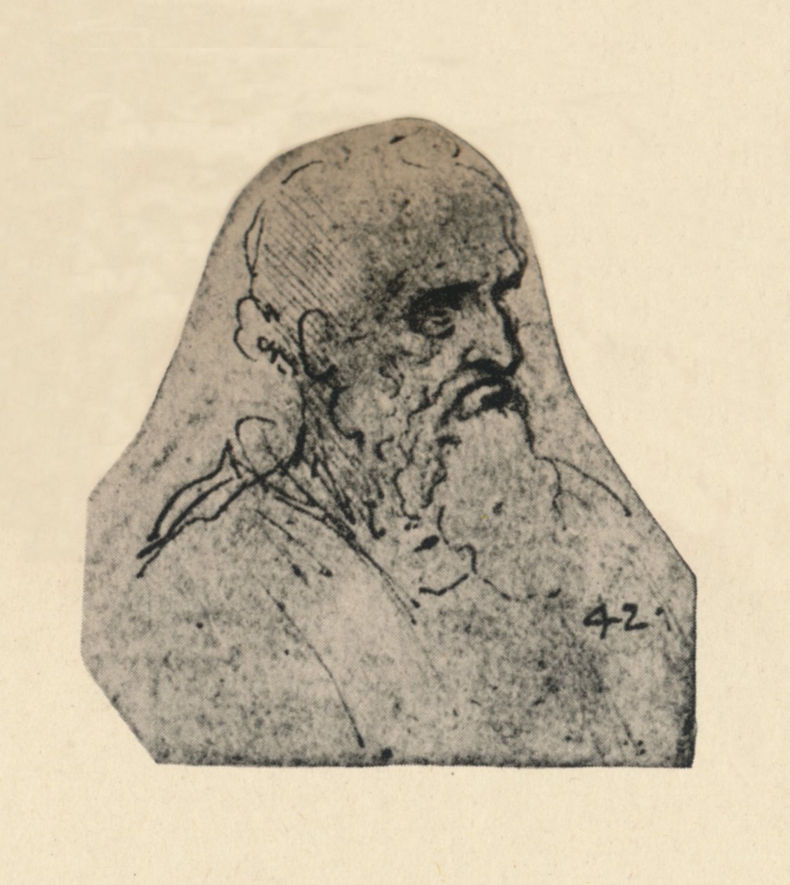 Cabeça de um velho virado para a direita, c1480 1945 de Leonardo da Vinci