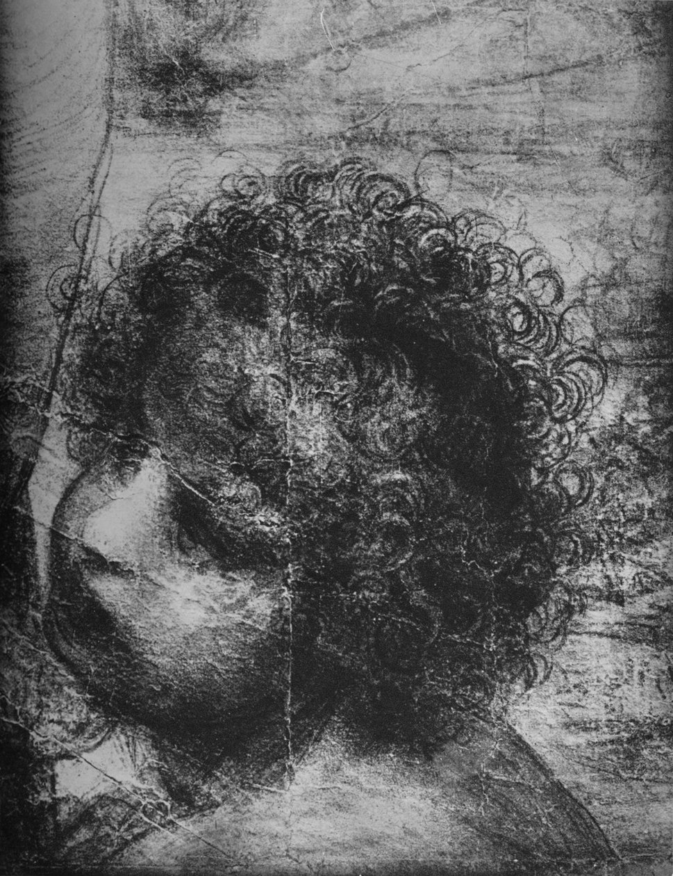 Cabeça do Infante São João - Virgem e Criança com Santa Ana e Infante São João, c1480 1945 de Leonardo da Vinci
