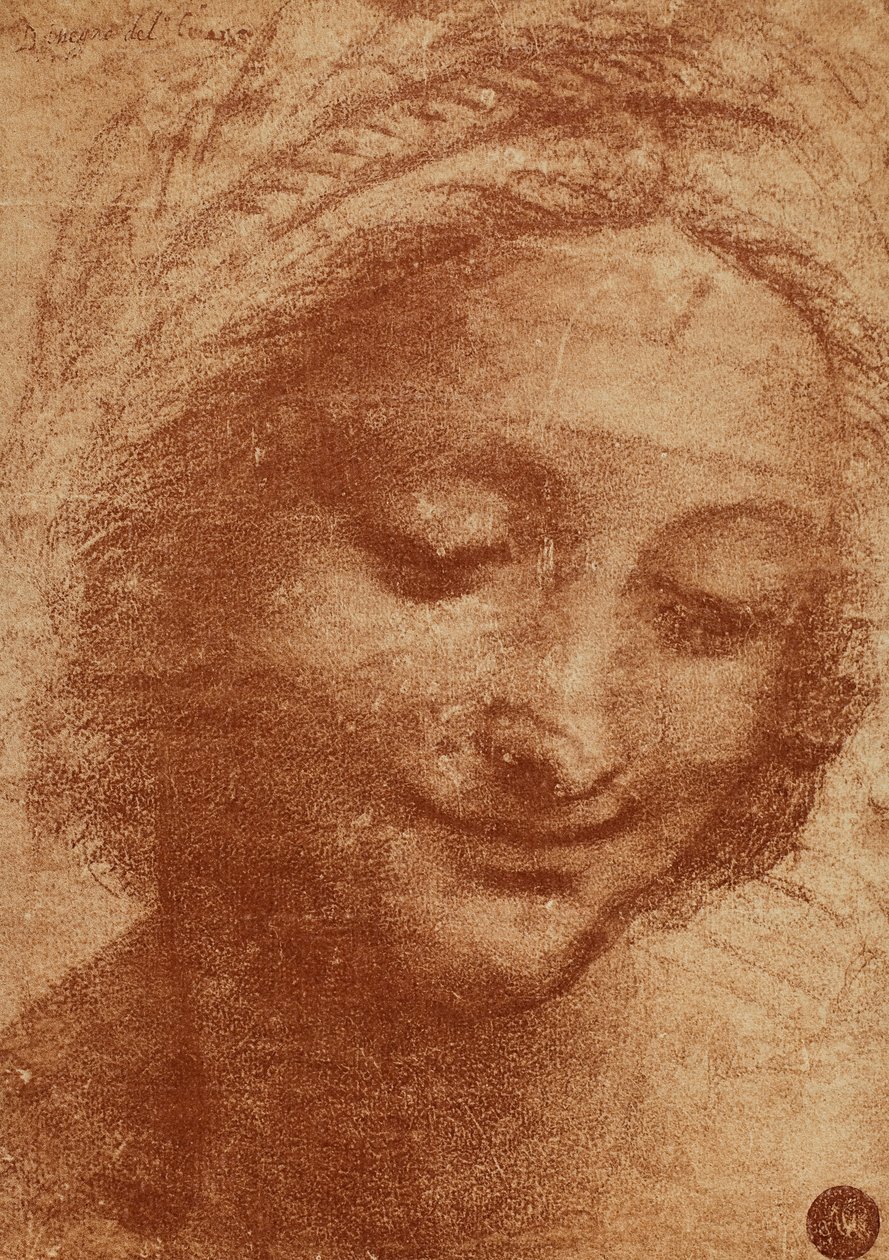 Cabeça da mulher ou de SantAnna, desenhando por Leonardo da Vinci, estudo para a cabeça de Sant Annas pintando Madonna com Criança e Sant Anna agora no Louvre. O design está alojado na Gallerie dellA de Leonardo da Vinci