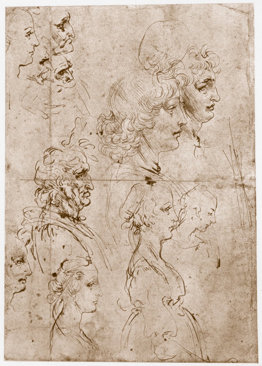 Cabeças de meninas, homens jovens e velhos, 1478-1480 de Leonardo da Vinci