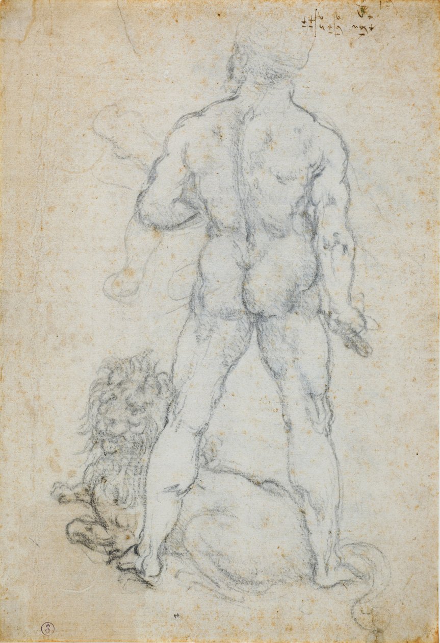 Hércules e o leão da Neméia, c. 1506-08 (ponta de carvão e metal em papel branco) de Leonardo da Vinci