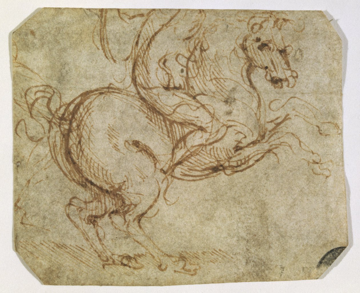 Cavalo e Cavalier (caneta e tinta no papel) de Leonardo da Vinci