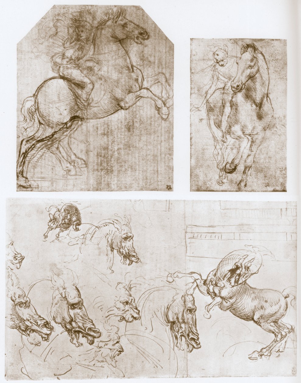 Cavaleiro, 1480-1481. de Leonardo da Vinci