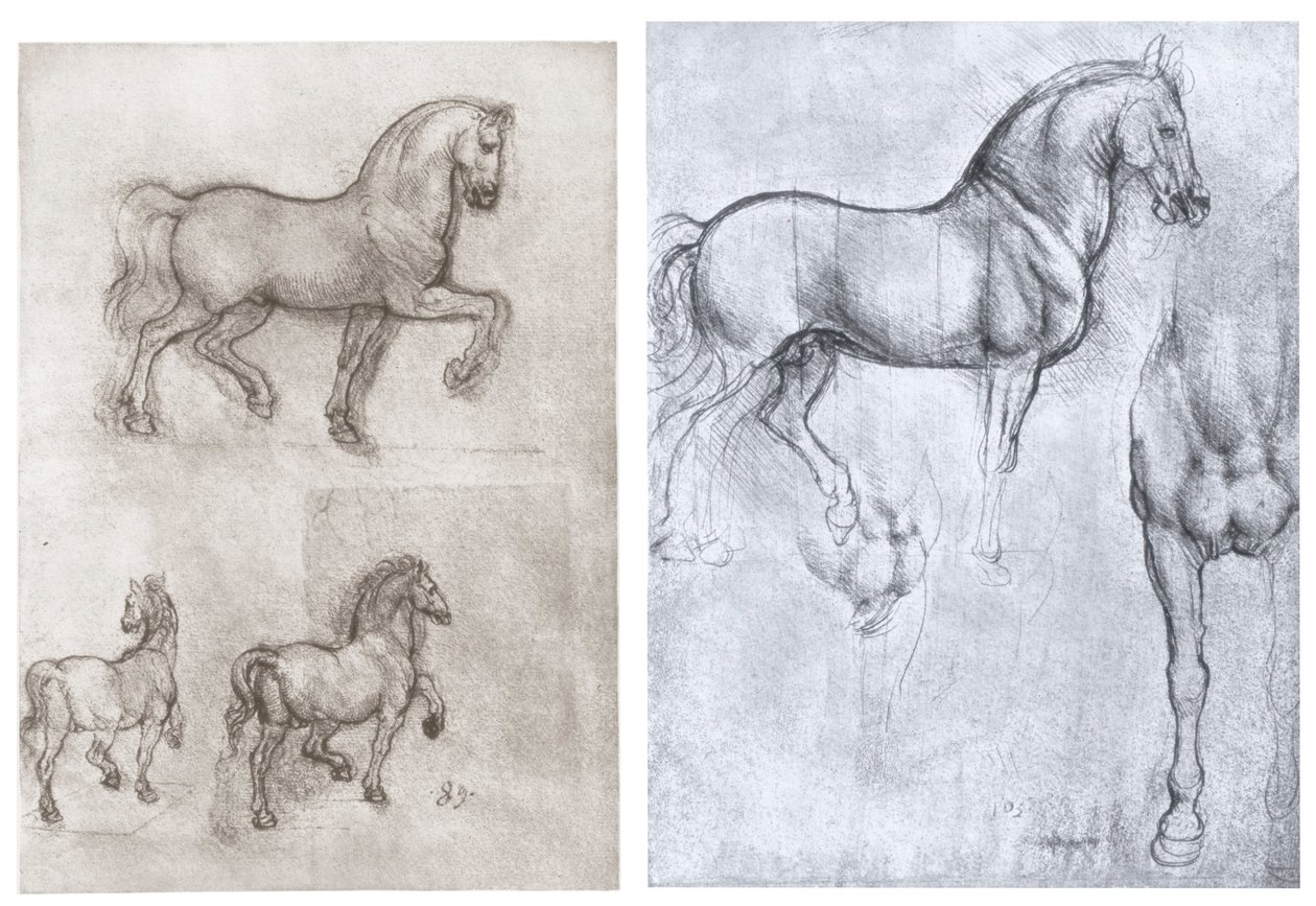 Cavalos, c1490-1510 de Leonardo da Vinci